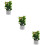 3Pcs Miniatura De Para Casa De , Bonsai Miniatura 11