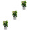 3Pcs Miniatura De Para Casa De , Bonsai Miniatura 7