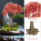 Miniature Per Tavolo Sabbia Artificiali 15Cm 9