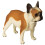 Estátua De Cachorro Plástico Com Design Ornamental 6