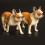 Estátua De Cachorro Plástico Com Design Ornamental 8