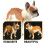 Estátua De Cachorro Plástico Com Design Ornamental 11