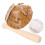 Conjunto De Mini Beisebol Com E Bola Para Decoração 11