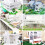 10 Unidades Para Micro Paisagem 3X300X400Mm 10