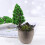 14 Pezzi Mini Albero In Per Fai Da Te 11