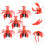 5Pcs Clockwork Lobster Pull String Wind-Up Toy For Children 4