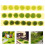 3 Strisce Mini Grappoli Per Vegetazione Scenografica 4