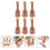 6 Pezzi Mini Chitarra Da Scrivania Decorazione Micro Paesaggio 4