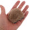 5 Orecchie Peluche Per Rimovibili 11