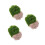 3 Set Polvere Pietra Per Tappeto 4