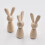 2 Pezzi Diy Coniglio In Legno Da Colorare 7