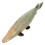 Realistic Plastic Atractosteus Spatula Fish Figurine Educational Toy 10