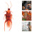 100Pcs Fake Roaches Prank Props Realistic Artificial Cockroach 5