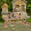 1 Set Miniature Modellen Levende Scene Decoratie 5