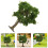 3Pcs Árvores Miniatura Plástico Para De 11