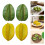 2Pcs Decorative Artificial Carambola Accent for-Yellow 3