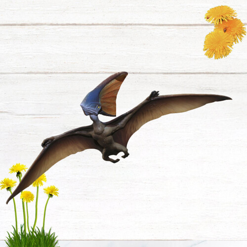 Pterosaur Model Solid Dinosaur Figurine Educational Toy 1