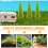 15 Unidades Miniaturas De Árvores Para E Diorama 8