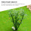60 Unidades Mini Decoração De Artificial 7