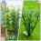 60 Unidades Mini Decoração De Artificial 4