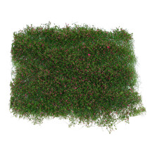 Miniatura Paesaggio Cespuglio Fiori Per Casa Piante Simulate