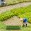 Fake Grass: Prato Fai Da Te Per Miniature E Micro 5