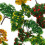 Set Materiali Per Diorama In Miniatura 8