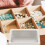 4Pcs Storage Box With Window Metal Case Holder 4