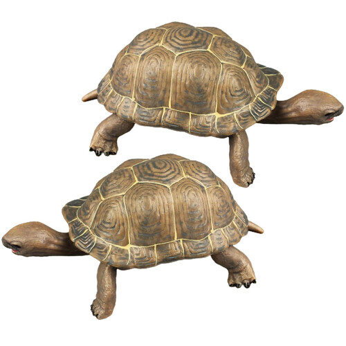 2 Unidades De Brinquedo Infantil