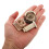 Set In Miniatura Architettonici Del 4