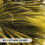 Wig Afro Espetada Para Halloween 8