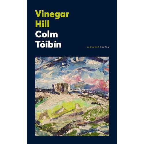 Vinegar Hill by Colm Toibin Paperback Book