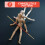 Do Bastão De Sun Wukong Para E Exibição 6
