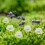 2 De Mini Buquê Flores Miniatura Grama Decoração 8