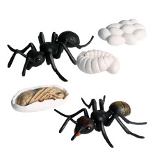 10 Unidades Conjunto De Formigas Plásticas Para Crianças (Preto)