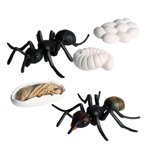10 Unidades Conjunto De Formigas Plásticas Para Crianças (Preto)
