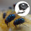 Plug In USB Moths Fly Catcher Rotating Fan-Blue and white 5