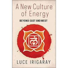 A New Culture of Energy by Luce Irigaray Paperback Book