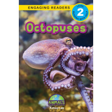 Octopuses by Ashley Lee Paperback Book