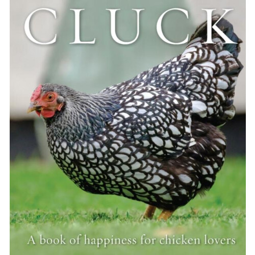 Cluck Paperback Book