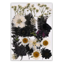 Black Series Bookmarks Durability Natural Tree Leaf-Type A
