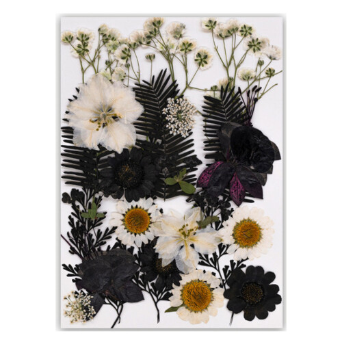 Black Series Bookmarks Durability Natural Tree Leaf-Type A