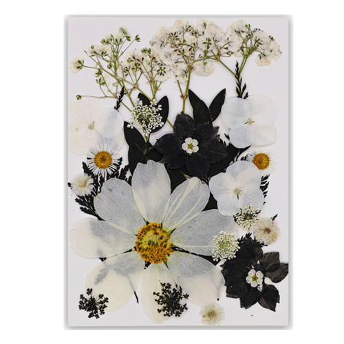 Black Series Bookmarks Durability Natural Tree Leaf-Type F