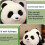 Charm Panda Plush Toy Comfortable Soft Throw Pillow-Black 25cm 5