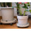 Plant Holder With Locking Casters Plastic Base for-Black 17 7
