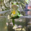 Tipsy Frogs Figurines Pot Huggers Suspendus Grenouilles 5