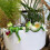 Tipsy Frogs Figurines Pot Huggers Suspendus Grenouilles 6