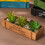 Garden Decors Troughs Decorative Pots Succulents Boxes-5 5
