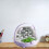Silkworm Breeding Cage with Easy Handle Removeable Tray-grey 3