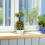 Realistischer -Bonsai Baum Mit - Für Büro Badezimmer 5